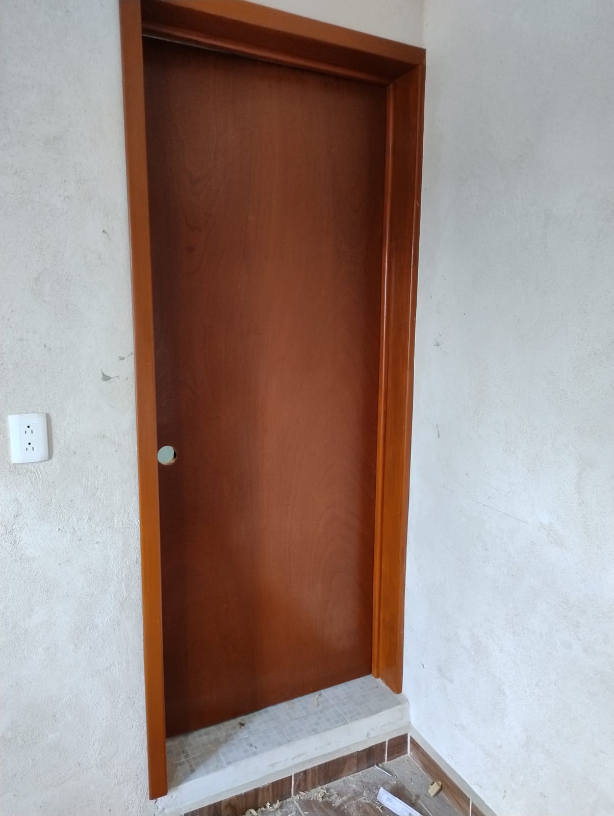 Puerta lisa en madera
